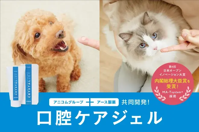 ４月２日（木）～５日（日）「インターペット東京」に出展！ 画像 4