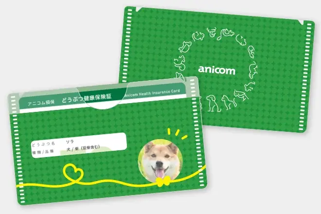 ４月２日（木）～５日（日）「インターペット東京」に出展！ 画像 8