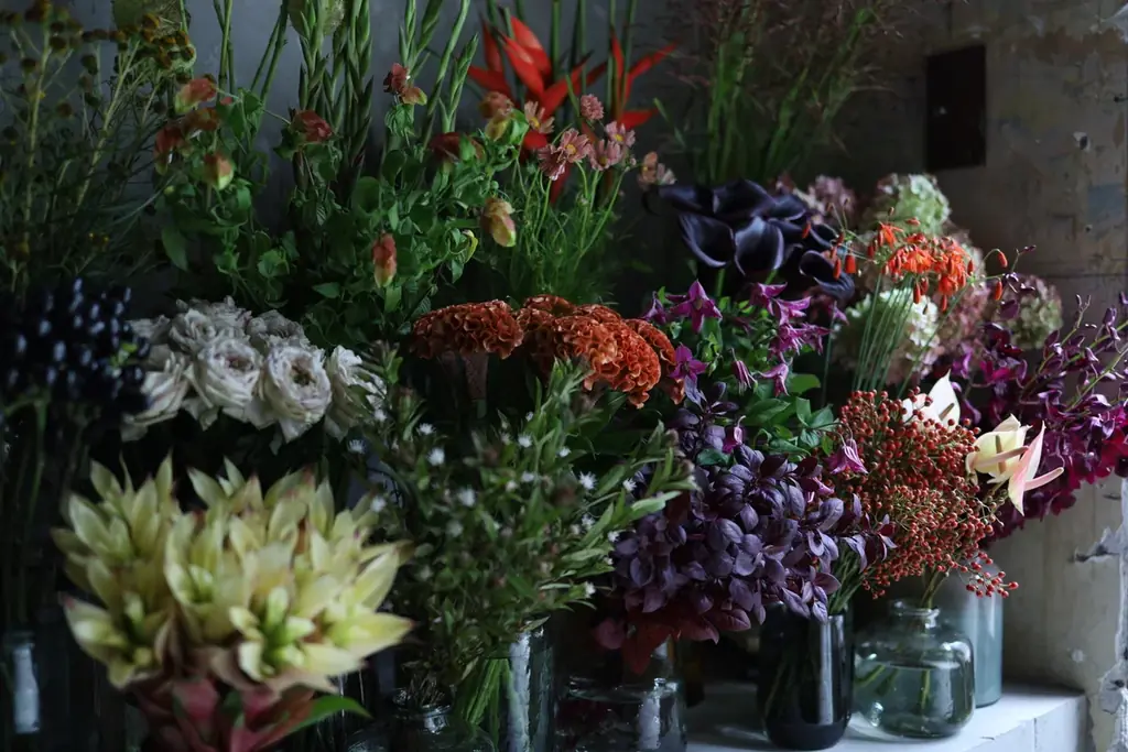 ［4月上旬］パパス・マドモアゼルノンノン丸の内店にてボタニカルショップ「ボワドゥギ」が期間限定オープン！ 画像 1