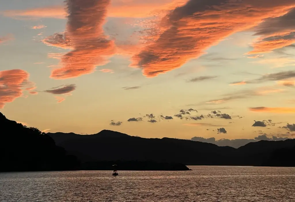 南伊勢町で創出されたブルーカーボン・クレジットが『SINRA』で登場 画像 1