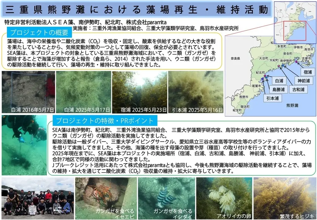 南伊勢町で創出されたブルーカーボン・クレジットが『SINRA』で登場 画像 4