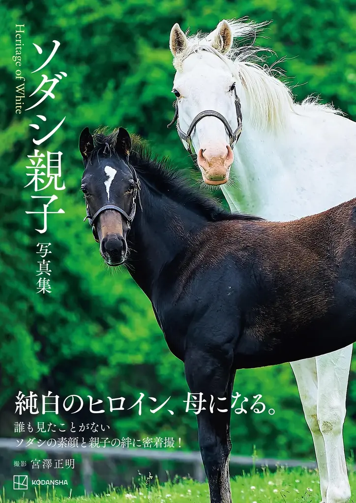 【未公開カット６点付き】大人気アイドルホース・ソダシが母に！“ソダシ親子”に密着した写真集が3月27日に発売！タワーレコード渋谷店で写真展も開催！ 画像 7