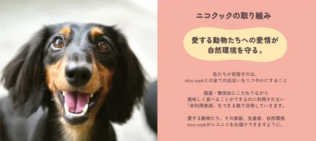 自然派ペットおやつブランドnico cook /ニコクックが今年もインターペット2026東京に出展！数量限定プレゼントや限定商品も販売。 画像 4