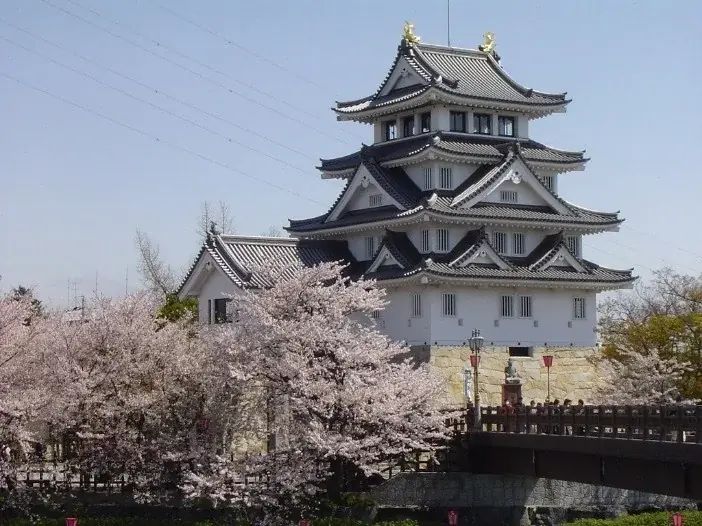 大河ドラマゆかりの地から1500年の巨桜まで岐阜が誇る桜の名所・厳選5スポットをご紹介 | 大河ドラマで注目の戦国史跡と、岐阜の「桜物語」を巡る 画像 1