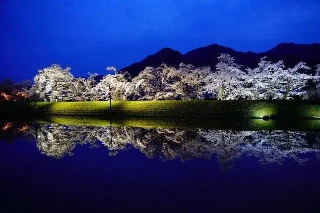 大河ドラマゆかりの地から1500年の巨桜まで岐阜が誇る桜の名所・厳選5スポットをご紹介 | 大河ドラマで注目の戦国史跡と、岐阜の「桜物語」を巡る 画像 11