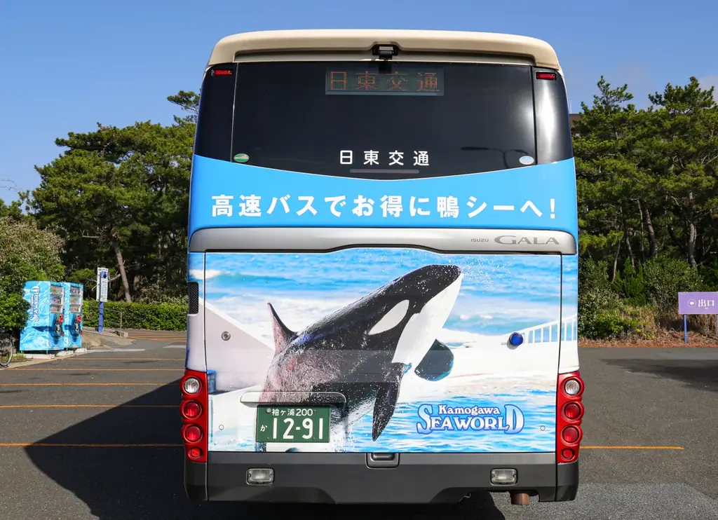 【鴨川シーワールド】東京から鴨川へ、シャチがアクアラインを駆け抜ける！！ 高速バス アクシー号にラッピング車両『旅するシャチ』が登場 画像 4