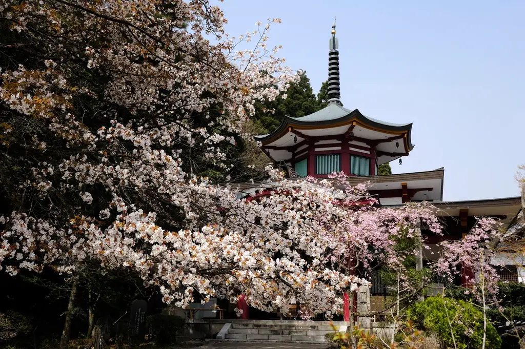 【北陸ドライブ旅】ガソリン券 or 館内利用券2,000円分、さらに最大3,200円分のグルメ温泉チケット「加賀 湯めぐり街あるき帖」付き宿泊プラン＜4/1～7/17＞ 画像 4