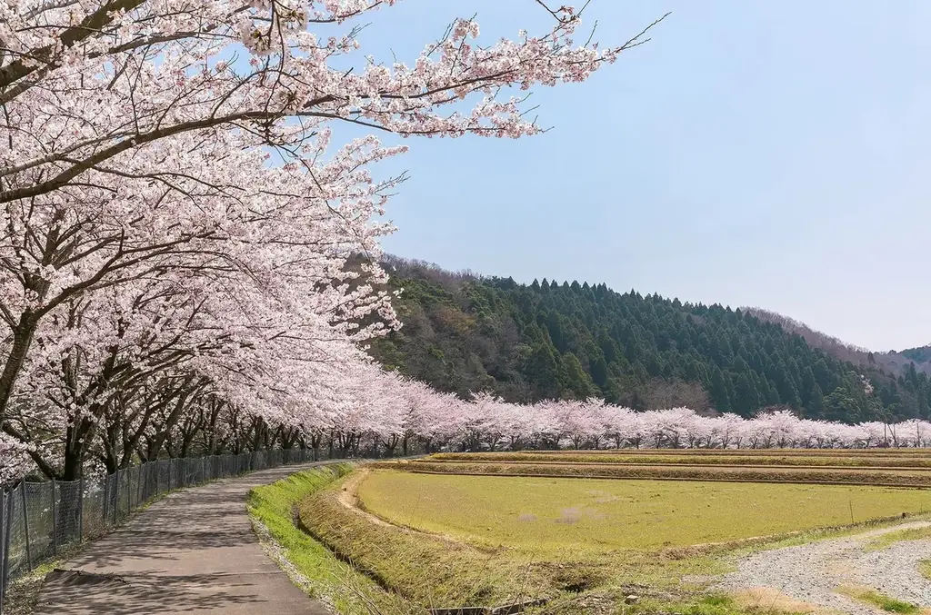 【北陸ドライブ旅】ガソリン券 or 館内利用券2,000円分、さらに最大3,200円分のグルメ温泉チケット「加賀 湯めぐり街あるき帖」付き宿泊プラン＜4/1～7/17＞ 画像 5