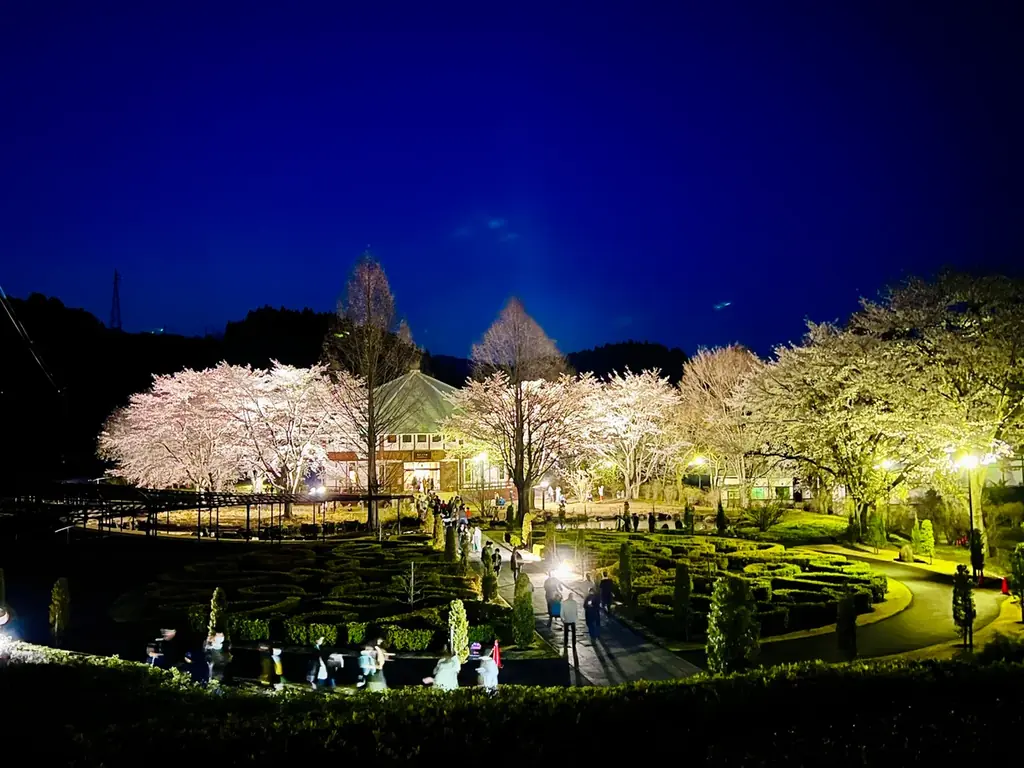 群馬の山間に現れる“現代の桃源郷”。1,000本の花桃が丘をピンクに染め上げる「花桃の丘まつり」開催 画像 2