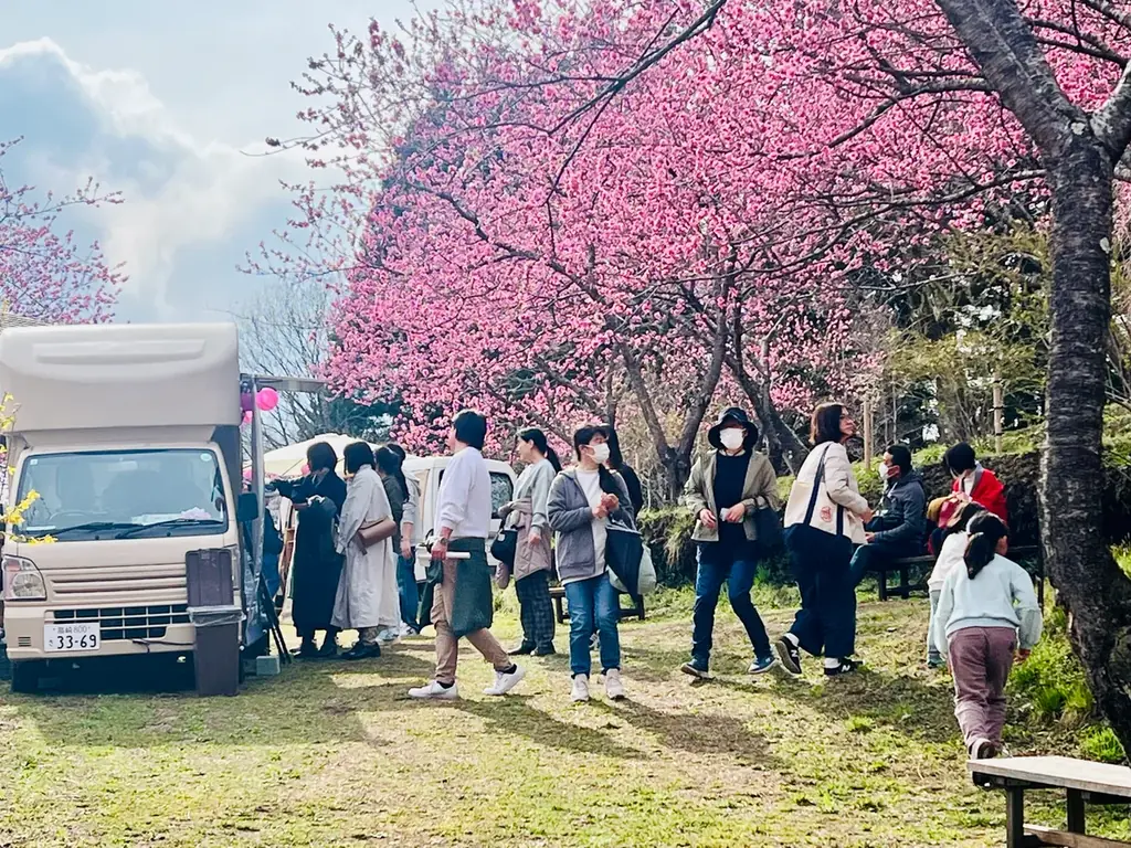 群馬の山間に現れる“現代の桃源郷”。1,000本の花桃が丘をピンクに染め上げる「花桃の丘まつり」開催 画像 3