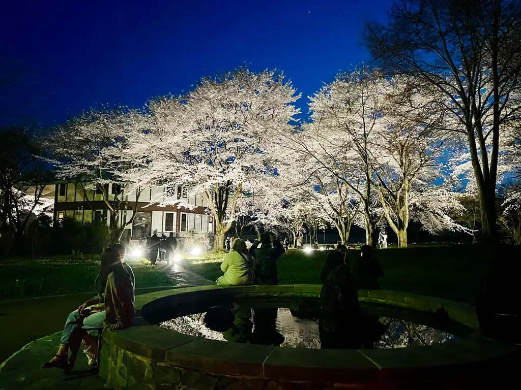 群馬の山間に現れる“現代の桃源郷”。1,000本の花桃が丘をピンクに染め上げる「花桃の丘まつり」開催 画像 5