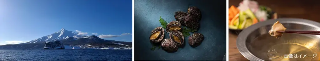 ウニ漁獲減少を背景に、天然利尻あわびの新たな食べ方を提案「天然利尻あわびしゃぶしゃぶ 利尻昆布仕立て 特製肝ソース付き」を利尻富士町のふるさと納税返礼品として3月29日（日）より受付開始 画像 2