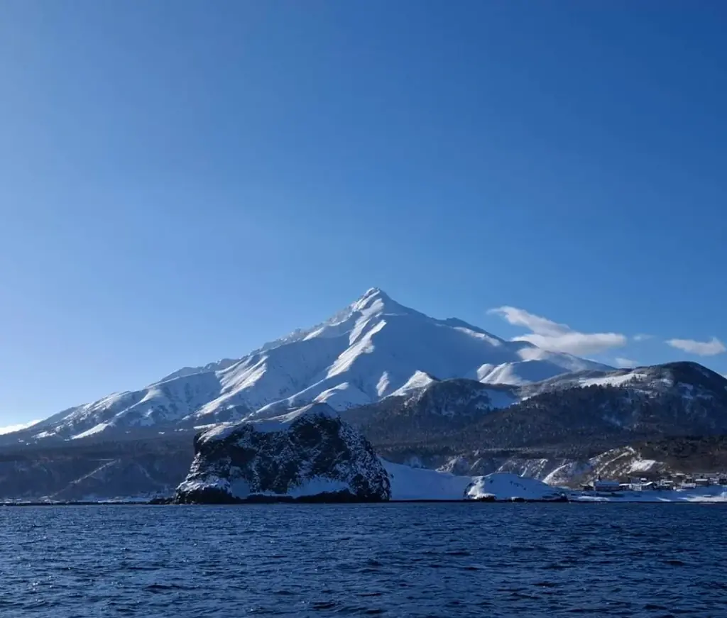 ウニ漁獲減少を背景に、天然利尻あわびの新たな食べ方を提案「天然利尻あわびしゃぶしゃぶ 利尻昆布仕立て 特製肝ソース付き」を利尻富士町のふるさと納税返礼品として3月29日（日）より受付開始 画像 4