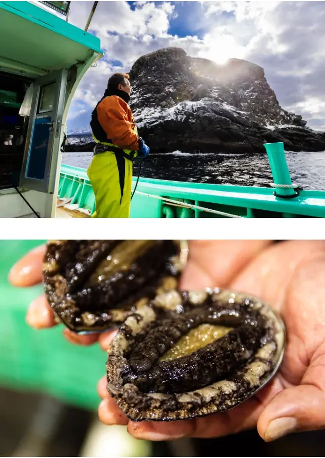 ウニ漁獲減少を背景に、天然利尻あわびの新たな食べ方を提案「天然利尻あわびしゃぶしゃぶ 利尻昆布仕立て 特製肝ソース付き」を利尻富士町のふるさと納税返礼品として3月29日（日）より受付開始 画像 8
