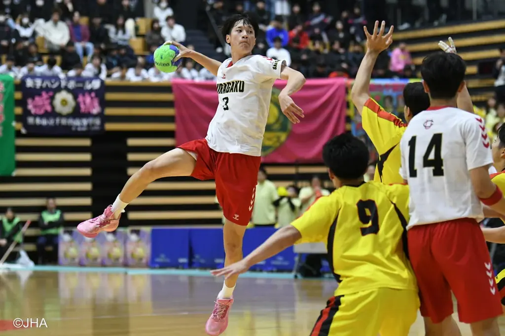 高校ハンドボール選抜大会