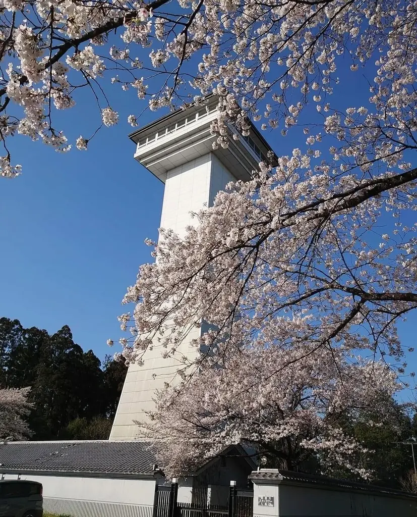 お丸山ホテル、春爛漫のさくら市で「桜プロジェクト」開始。さくら市ならではの桜風呂を「日本三大美肌の湯」喜連川温泉で提供。 画像 8