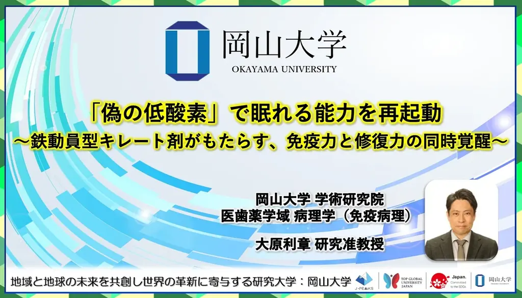 【岡山大学】「偽の低酸素」で眠れる能力を再起動〜鉄動員型キレート剤がもたらす、免疫力と修復力の同時覚醒〜 画像 1
