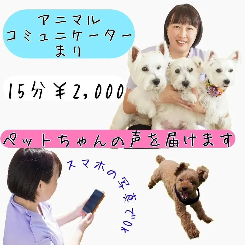 「ムーディコーラス隊合唱祭」開催！ 画像 5