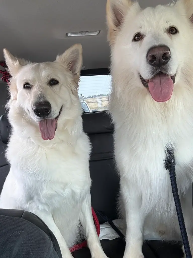 「ムーディコーラス隊合唱祭」開催！ 画像 7