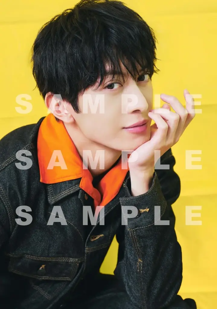 『ACTORS☆LEAGUE in Games』プロデューサー・高野洸が表紙を飾る「TVガイドStage Stars vol.32」発売！ 裏表紙にはミュージカル「忍たま乱太郎」六年生キャストが登場 画像 20