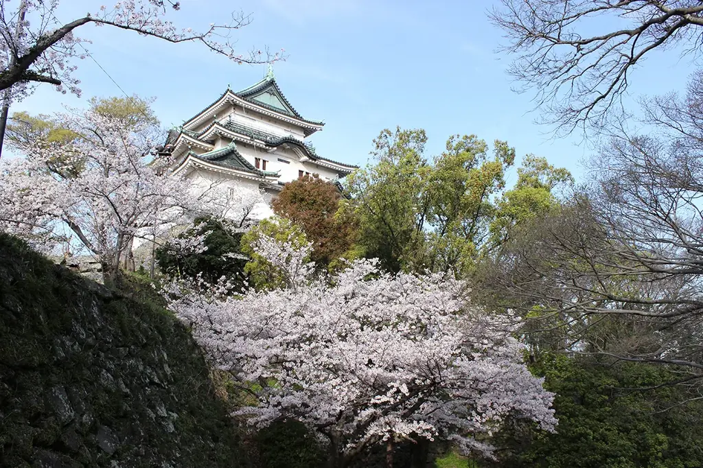 【関西の春旅・世界遺産観光の拠点に】「コンフォートホテル姫路」「コンフォートホテル和歌山」3月末リニューアル　姫路・和歌山の地域性を活かした空間デザインを実現 画像 2