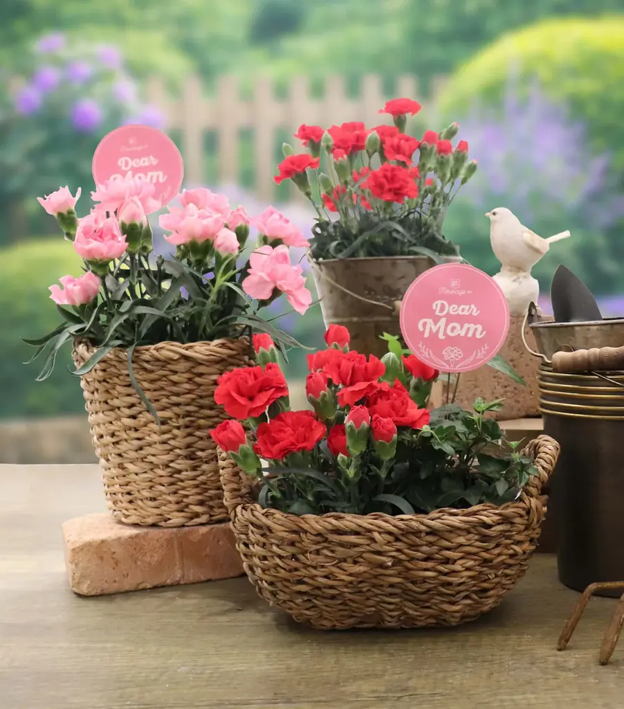 【2026年 母の日】ルミネのお花屋さん・フルラージュアンでは癒しの庭がテーマの商品を販売します 画像 5