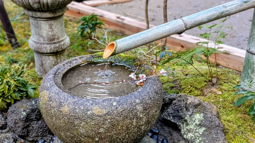 千葉県勝浦の“禅×サウナ”プロジェクト、クラウドファンディング100万円突破！ 画像 2