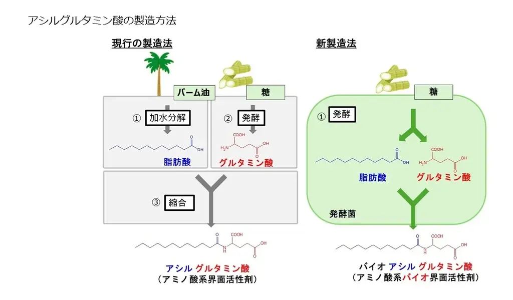 バイオ界面活性剤開発