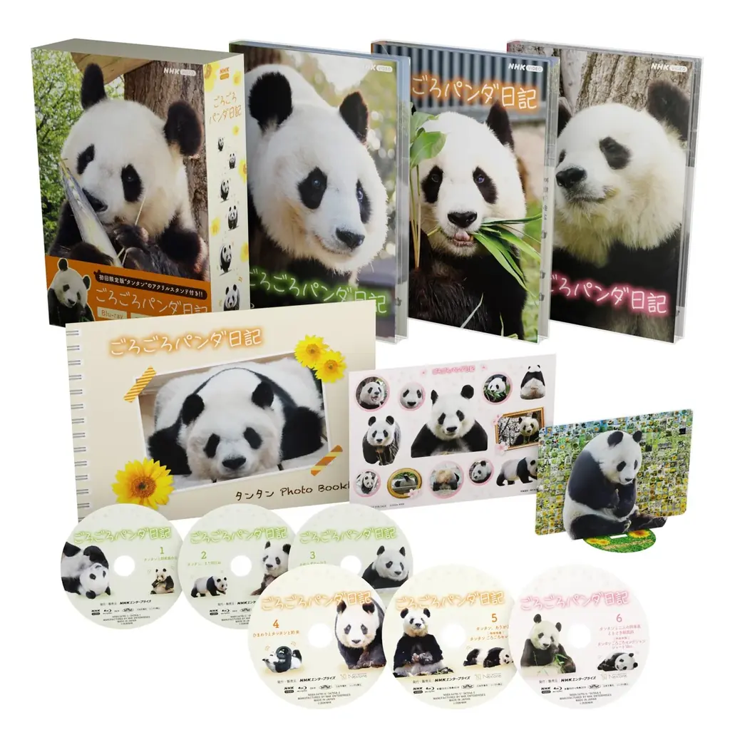 【NHKカルチャー】NHK「ごろごろパンダ日記」制作陣による特別講座「NHK『ごろごろパンダ日記』～舞台裏トーク～」タンタンを見つめたふたりが語る名場面と制作秘話【4月4日（土）13:30～】 画像 4