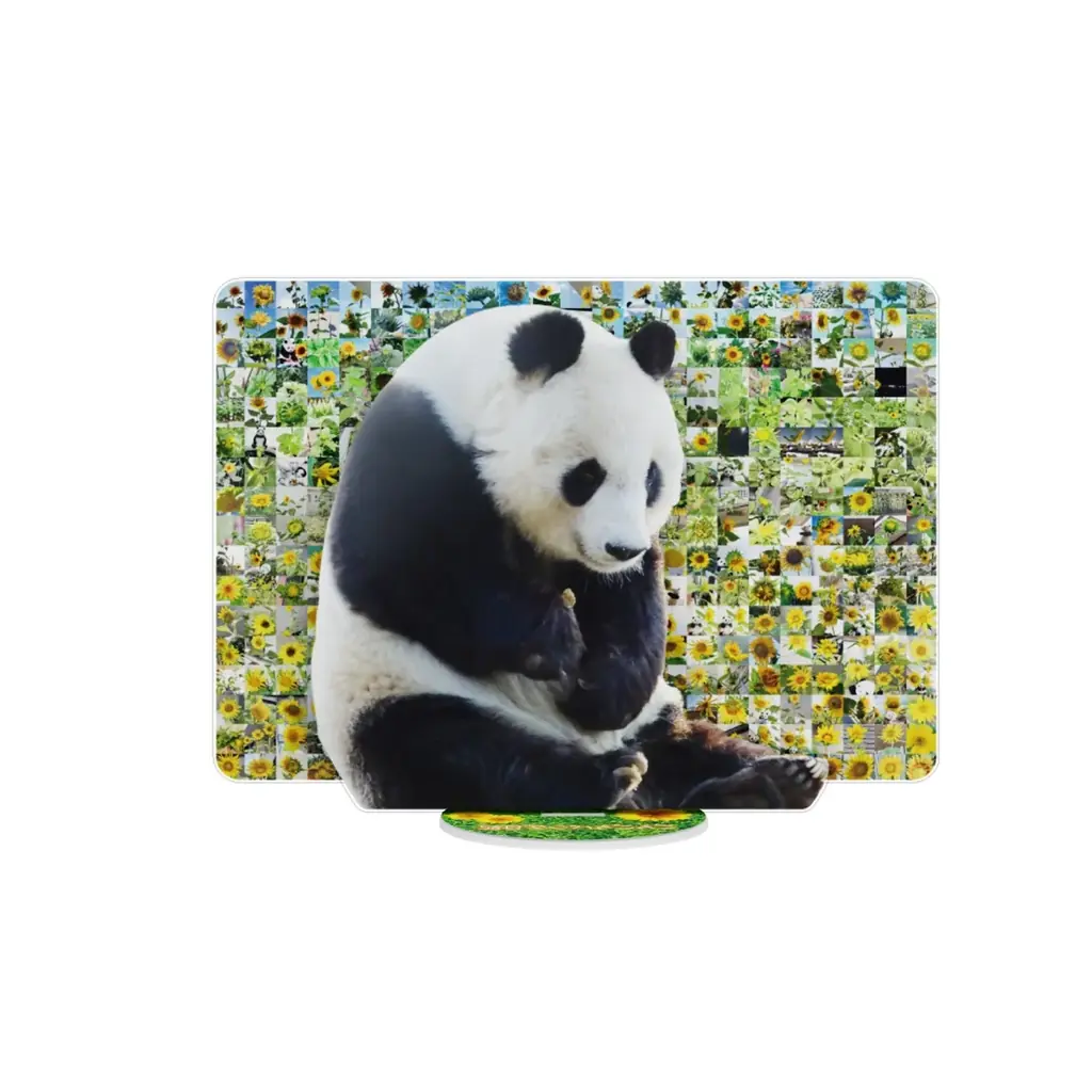 【NHKカルチャー】NHK「ごろごろパンダ日記」制作陣による特別講座「NHK『ごろごろパンダ日記』～舞台裏トーク～」タンタンを見つめたふたりが語る名場面と制作秘話【4月4日（土）13:30～】 画像 5