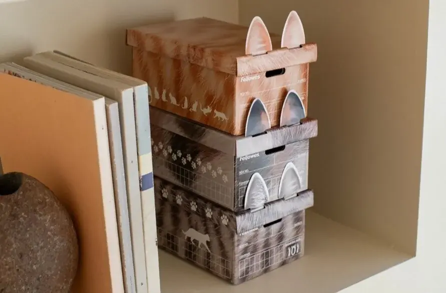 フワフワの毛並み柄に癒される「バンカーズボックス101ねこ柄」を数量限定発売 画像 1