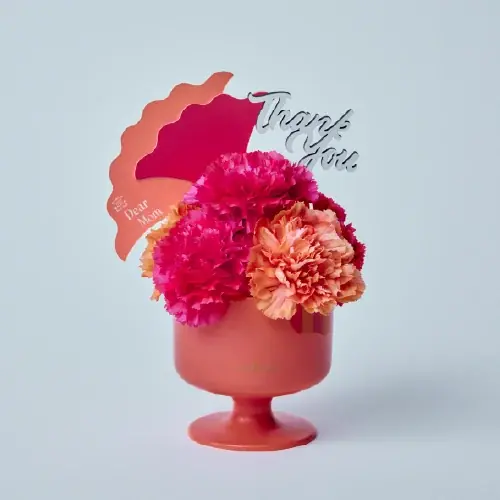 コンセプトは「お母さんのちょっとした特別な時間」。リゾート気分を贈る、青山フラワーマーケットの母の日。 画像 6