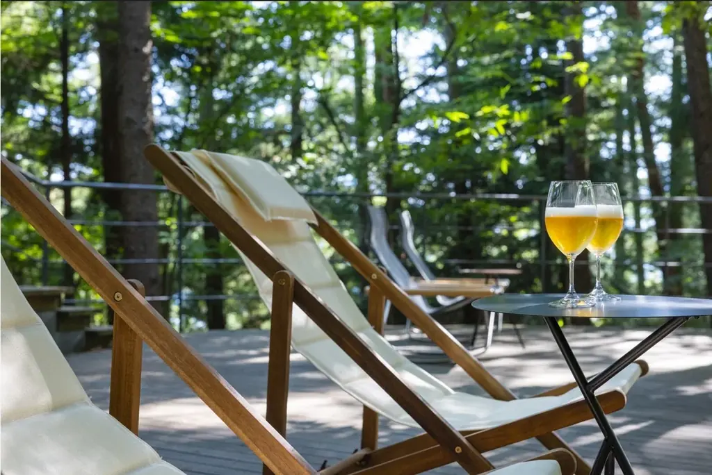 【星のや富士】森が輝く季節。夏に向け緑が潤い、鮮やかになる「初夏の森グランピング滞在」を提供開始 画像 4