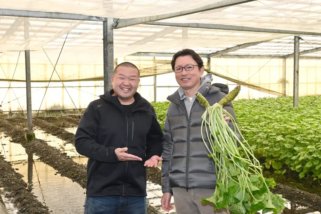 nana’s green tea、わさび農園が育てた「安曇野産サーモン」を飲食チェーンとして初採用　初夏限定メニューとして4月7日より発売！ 画像 2