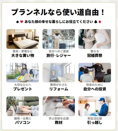 プランネル、「85歳まで申込可能」なカードローン「プランネルプラス」を3月31日より提供開始 画像 3
