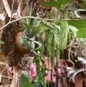 【大阪高島屋】いま、ここから。想いをつなぎ、豊かな未来をつくる。「TSUNAGU ACTION WEEKS」 画像 13