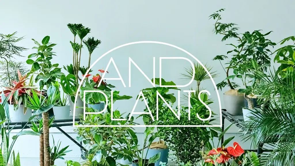 AND PLANTS（アンドプランツ）、母の日にフラワースタンド企画を実施　～お母さんに最大級のありがとうを～ 画像 5