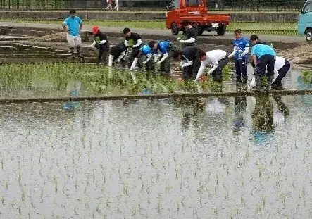 【横浜高島屋】地元横浜の放置竹林から生まれた「ハマのメンマ」や「ハマ米」をご紹介！“美味しく楽しく” サステナブル！〈TSUNAGU ACTION WEEKS〉開催！ 画像 13