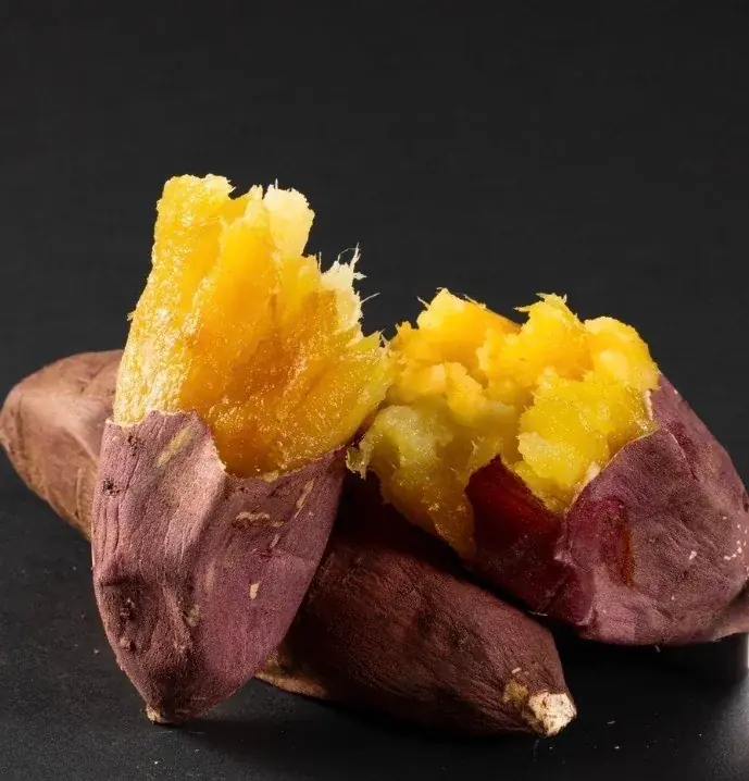 「幕張メッセどきどきフリーマーケット2026」前売券販売開始！ 画像 9