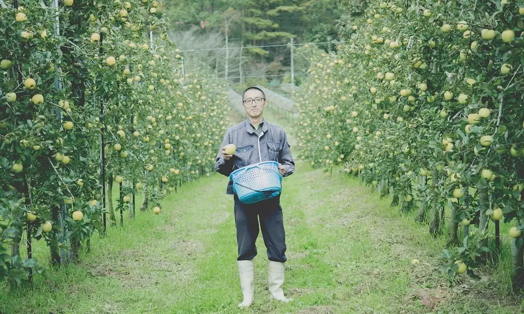 【アンデルセン】4月1日、おいしさを求めて国産小麦粉100％にリニューアル。日本の四季を彩る「ファーマーズブレッド」 画像 12