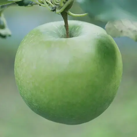 【アンデルセン】4月1日、おいしさを求めて国産小麦粉100％にリニューアル。日本の四季を彩る「ファーマーズブレッド」 画像 15