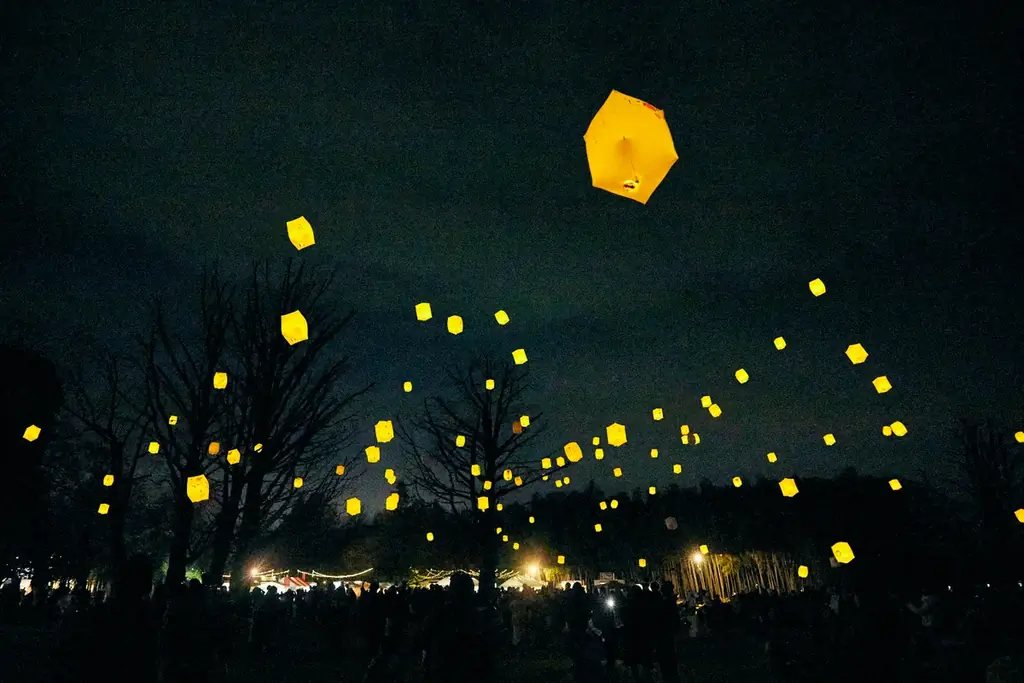 地域みんなでつくる、“心躍るクリスマス”をこの街に。「学びの森のクリスマス Noël」を街の灯火へ。 画像 10