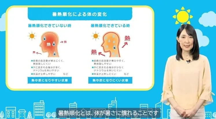 研修動画販売開始