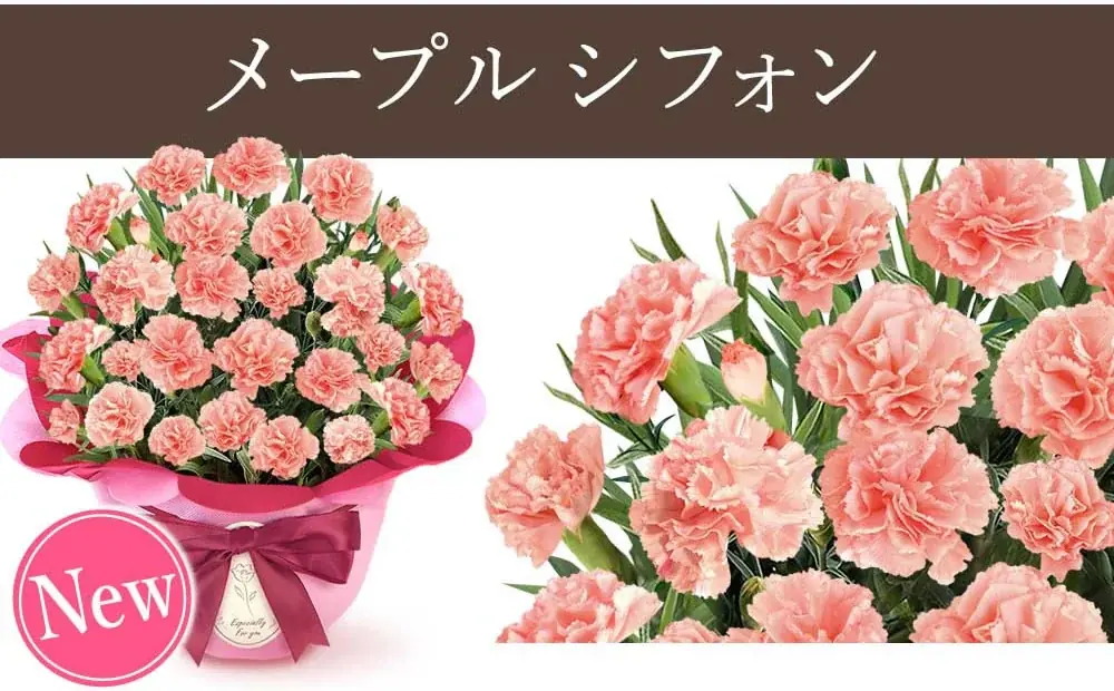 選べる15色母の日ギフト