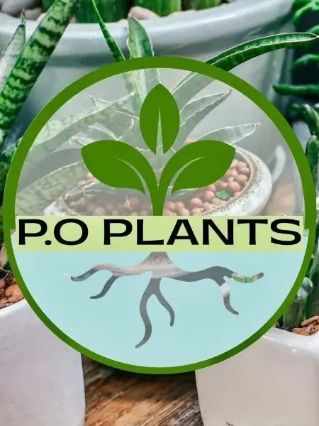 “集う・巡る・出逢う” 湘南の春を楽しむマルシェ「8HOTEL CHIGASAKI MARCHE vol.5」開催 画像 7