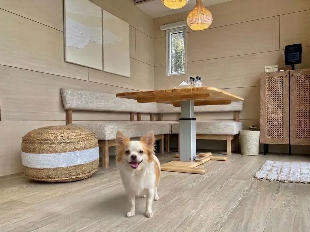 別荘サブスク「WITH SEA」初のトレーラーハウス型施設「WITH SEA 伊東」が2026年4月1日にオープン 画像 9