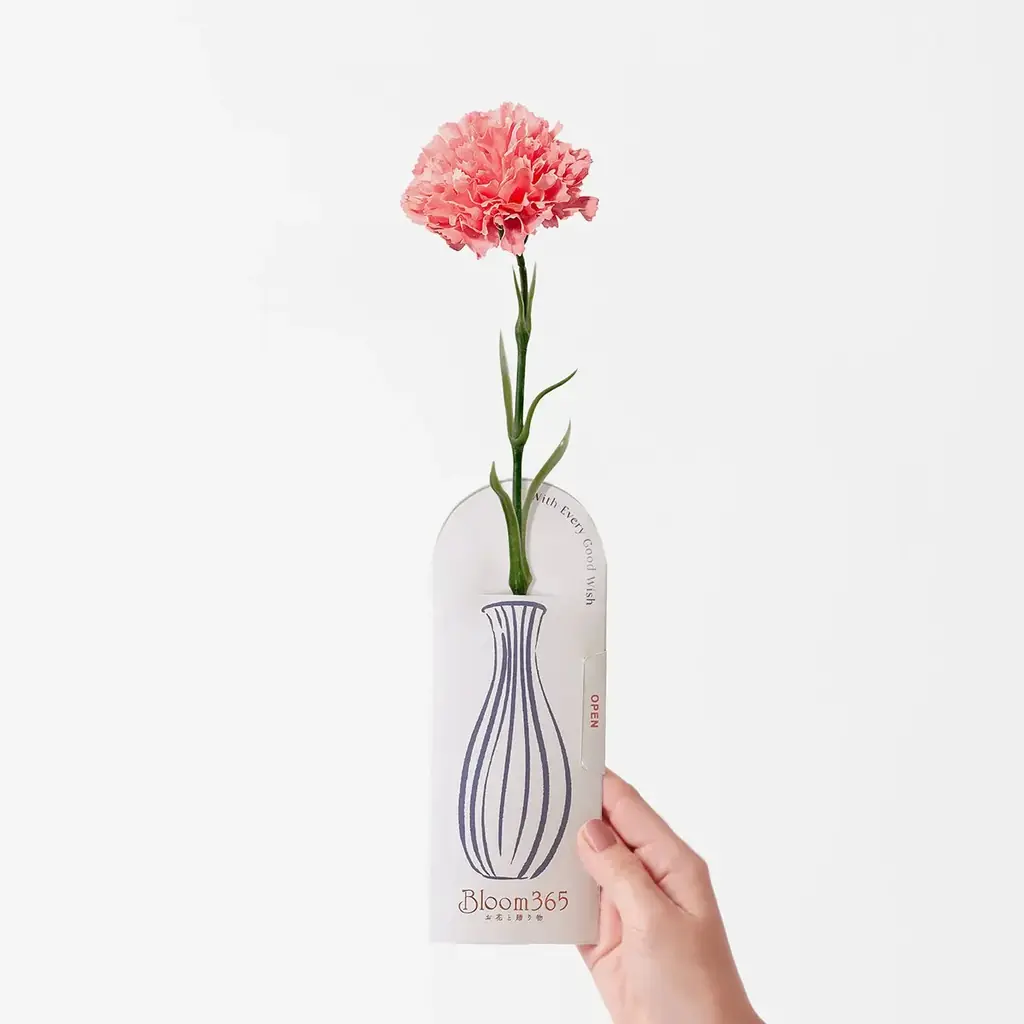 母の日ギフト2026｜Soup Stock Tokyoや話題のOFF COLAも。バイヤー厳選の「日常を豊かにする」限定ギフトセットが4月2日に『HYACCA』で販売開始 画像 2