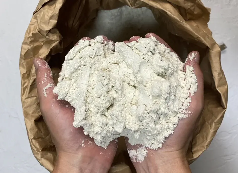 【学芸大学駅前に4/4開店】日本一の蕎麦を菓子に。福井在来種そば粉100％の無添加菓子店「SOBOKU NI」が東京初出店 画像 2