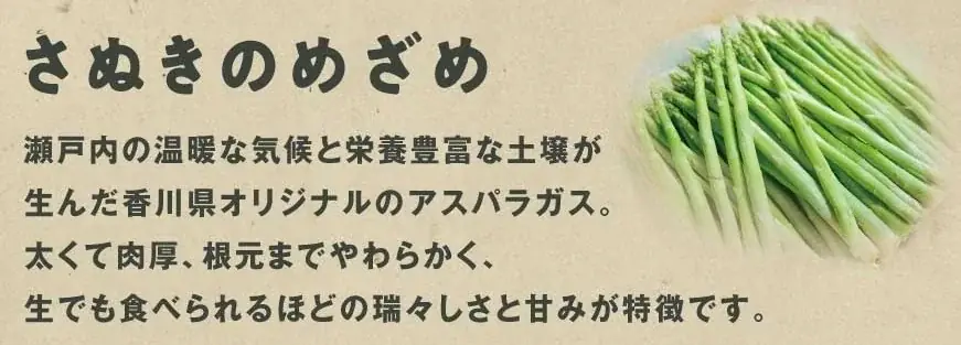 ケツメイシ全国アリーナツアー全会場にピザーラキッチンカー出店決定！　各地限定の地産地消ピザや人気ピザを販売　【会場限定】「ケツメンCAMP」公式ロゴステッカーも登場 画像 4