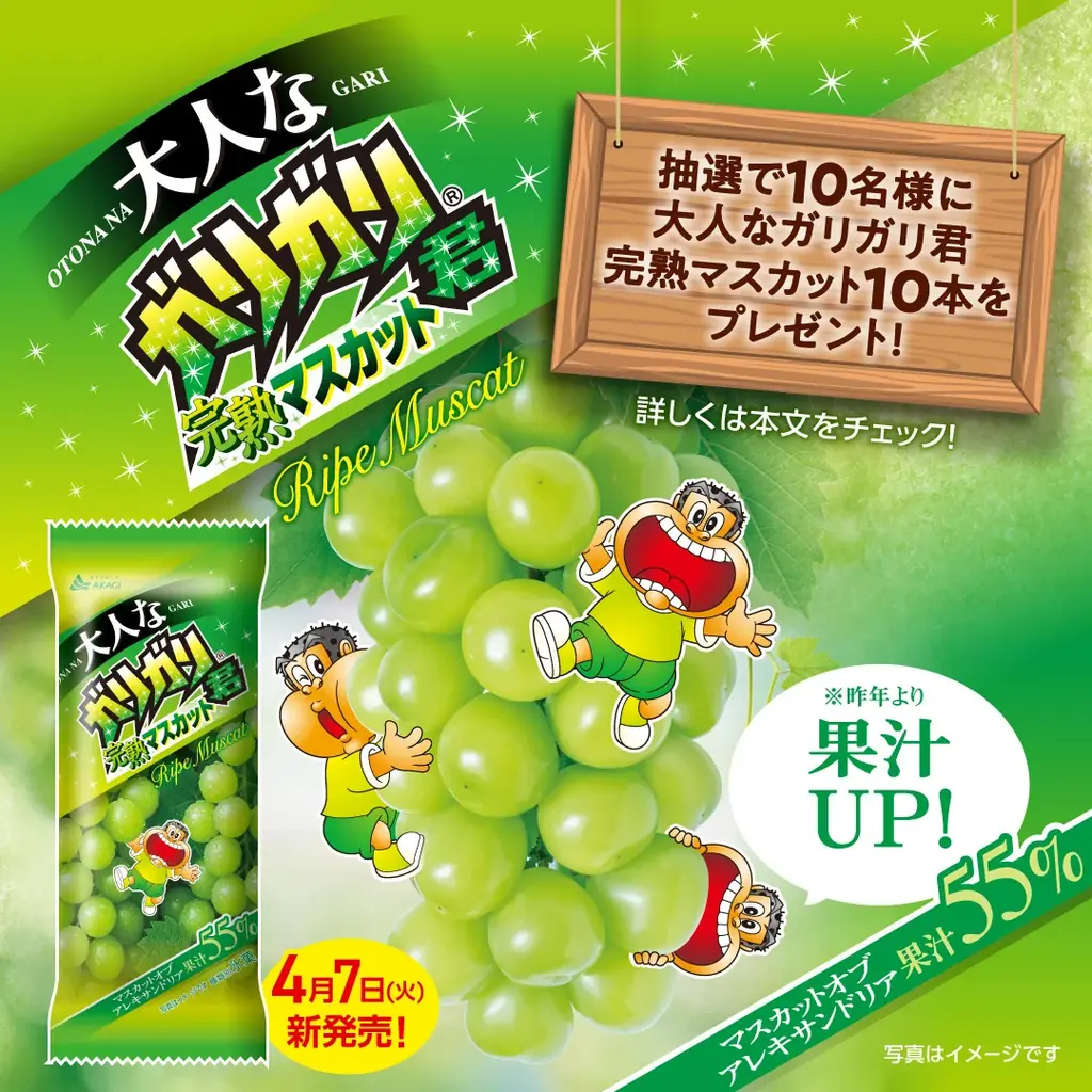 従来品よりマスカット果汁増量 完熟したジューシーなぶどうの味わいをお届け！ 「大人なガリガリ君完熟マスカット」 2026年4月7日（火）より全国発売 画像 2